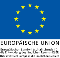 EU Logo